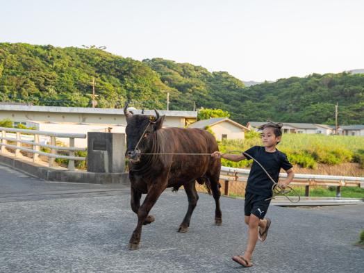 闘牛ふれあい体験-4