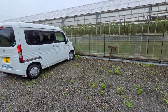 観観光農園かじゅらぼ-4
