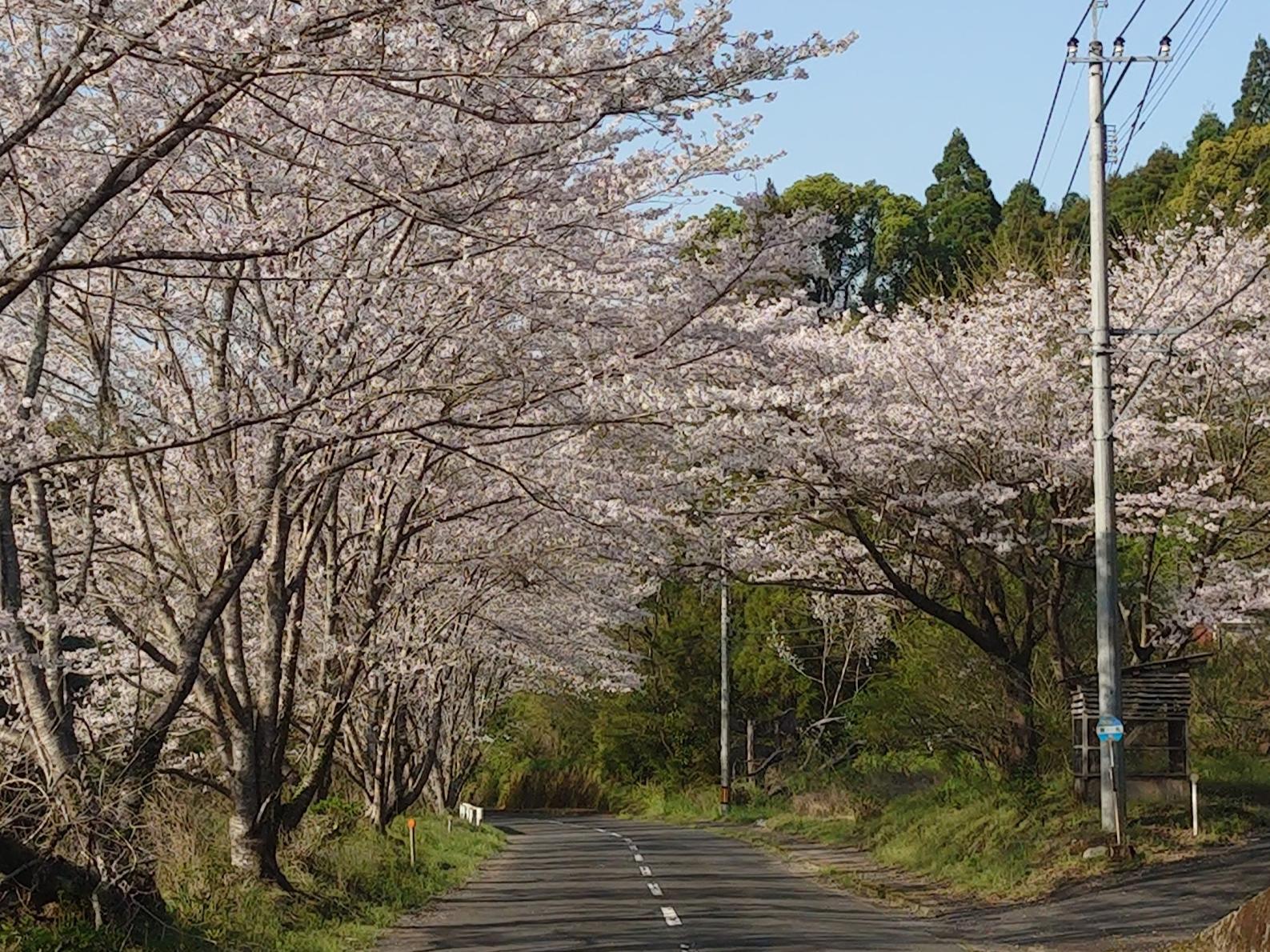 神野山の学校キャンプ場-8