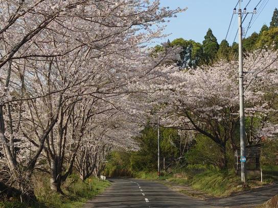 神野山の学校キャンプ場-8
