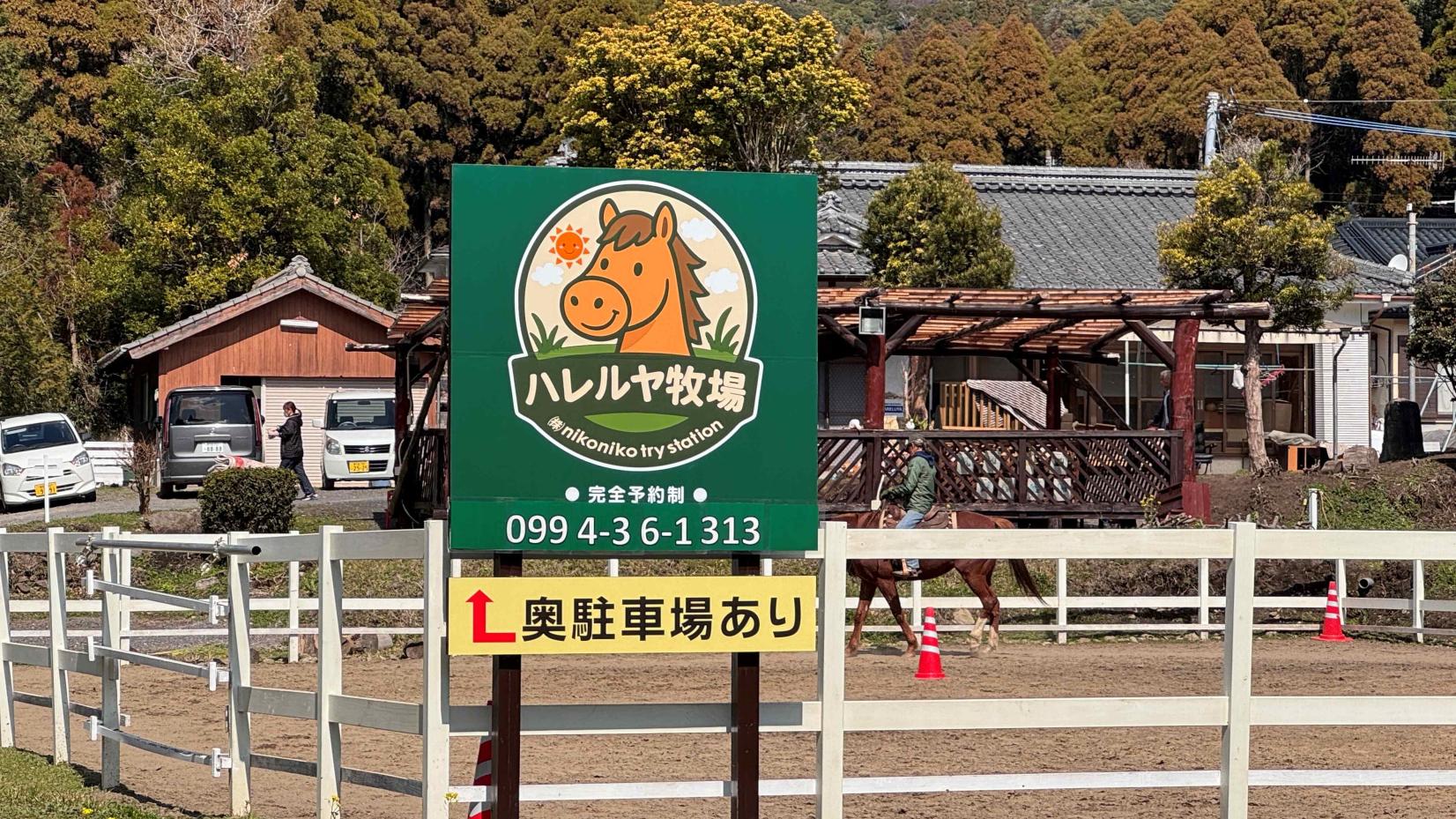 ハレルヤ牧場-1