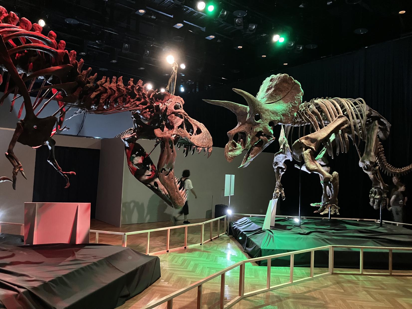 シン・恐竜展－ディノサイエンス鹿児島－-1