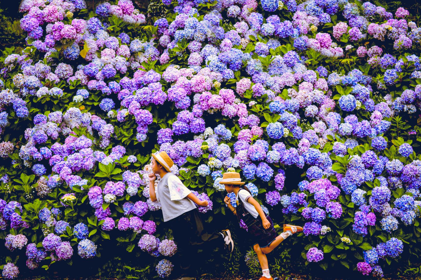 Fun for a Rainy Day-1