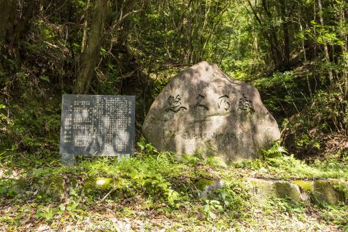Yukyu-no-mori Forest / 悠久の森