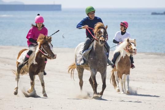 Kushikino Beach Horse Racing (Hama-Keiba) / 串木野浜競馬