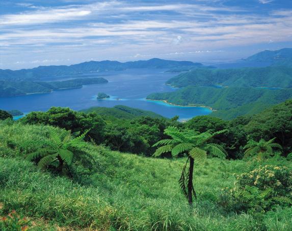View of the Oshima Straits / 油井岳からの大島海峡