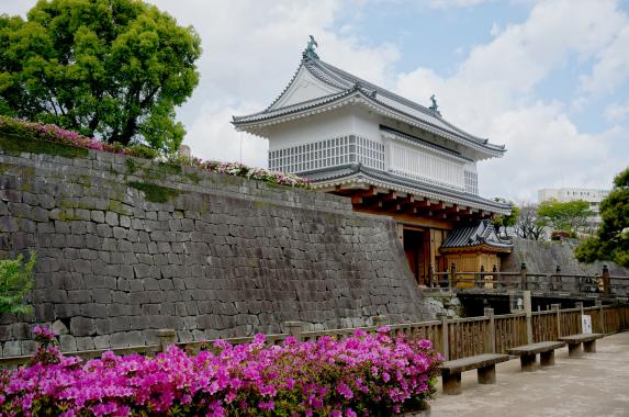 Goromon Gate (Tsurumaru Castle Ruins) / 鶴丸城御楼門とツツジ②
